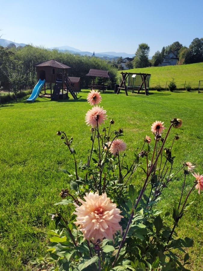 Villa Domki Pod Lasem Rokiciny Podhalanskie Exterior foto