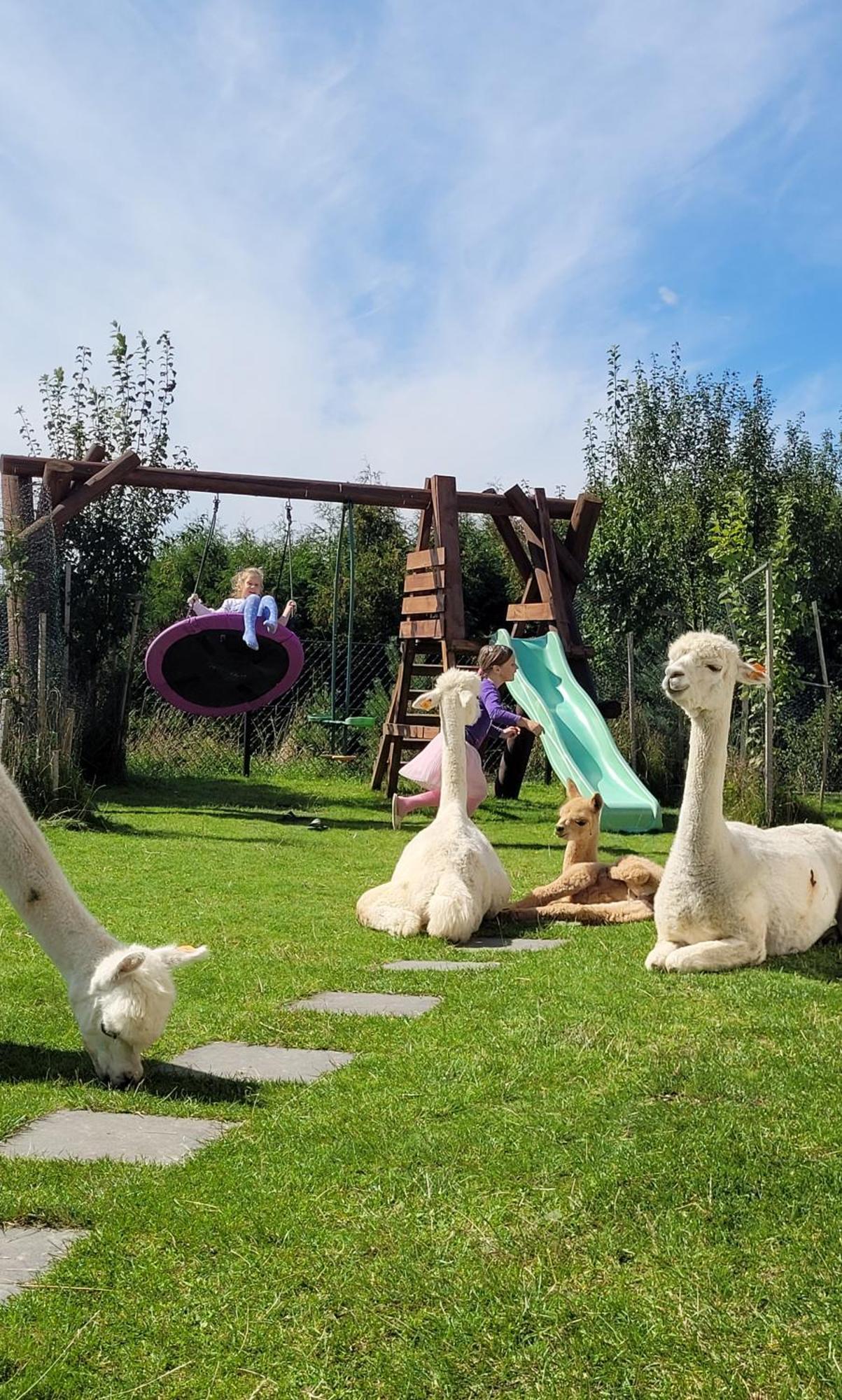 Villa Domki Pod Lasem Rokiciny Podhalanskie Zimmer foto