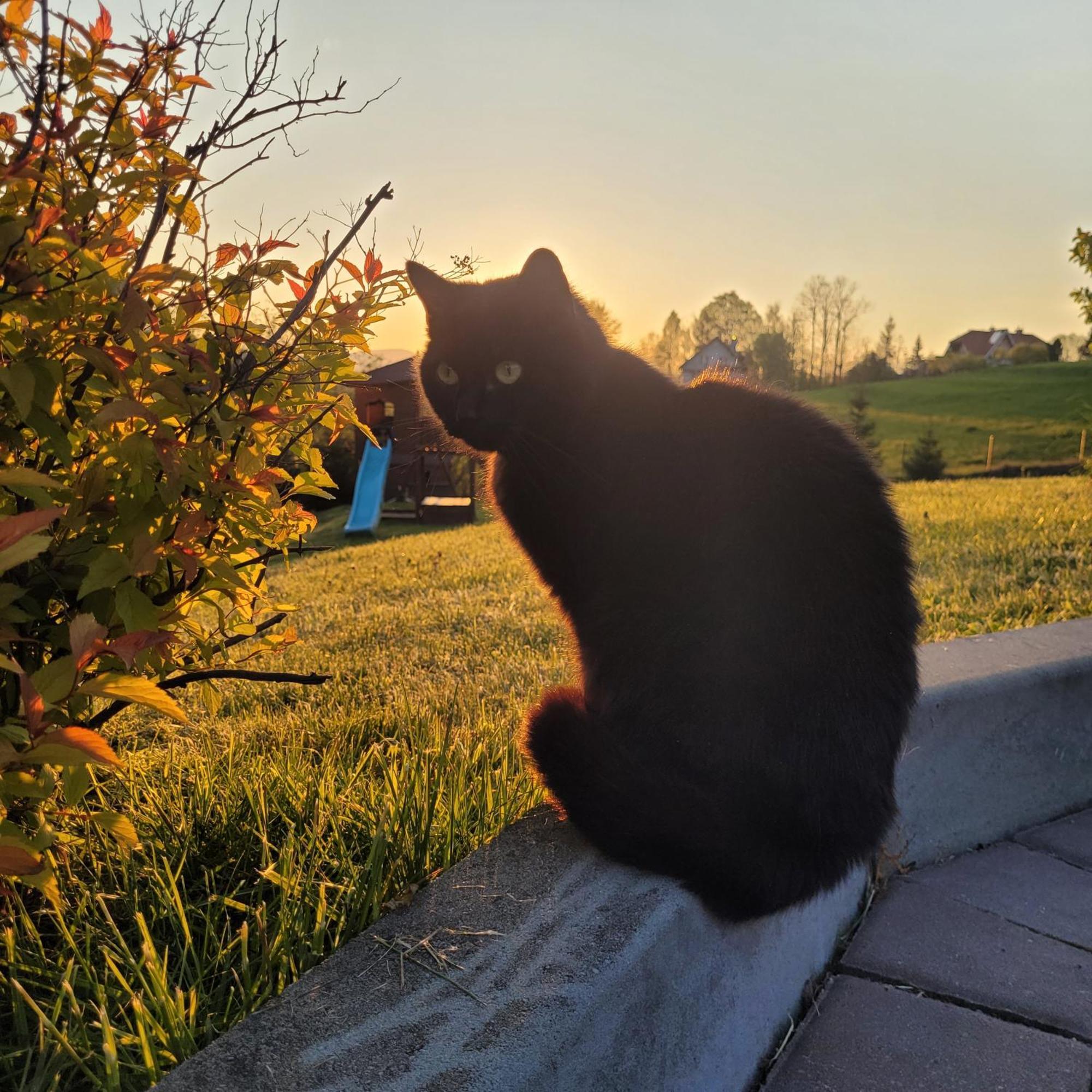 Villa Domki Pod Lasem Rokiciny Podhalanskie Exterior foto