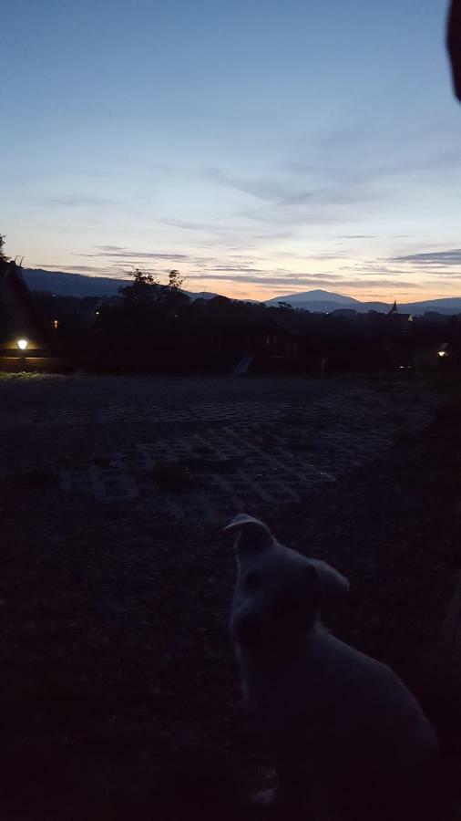 Villa Domki Pod Lasem Rokiciny Podhalanskie Exterior foto